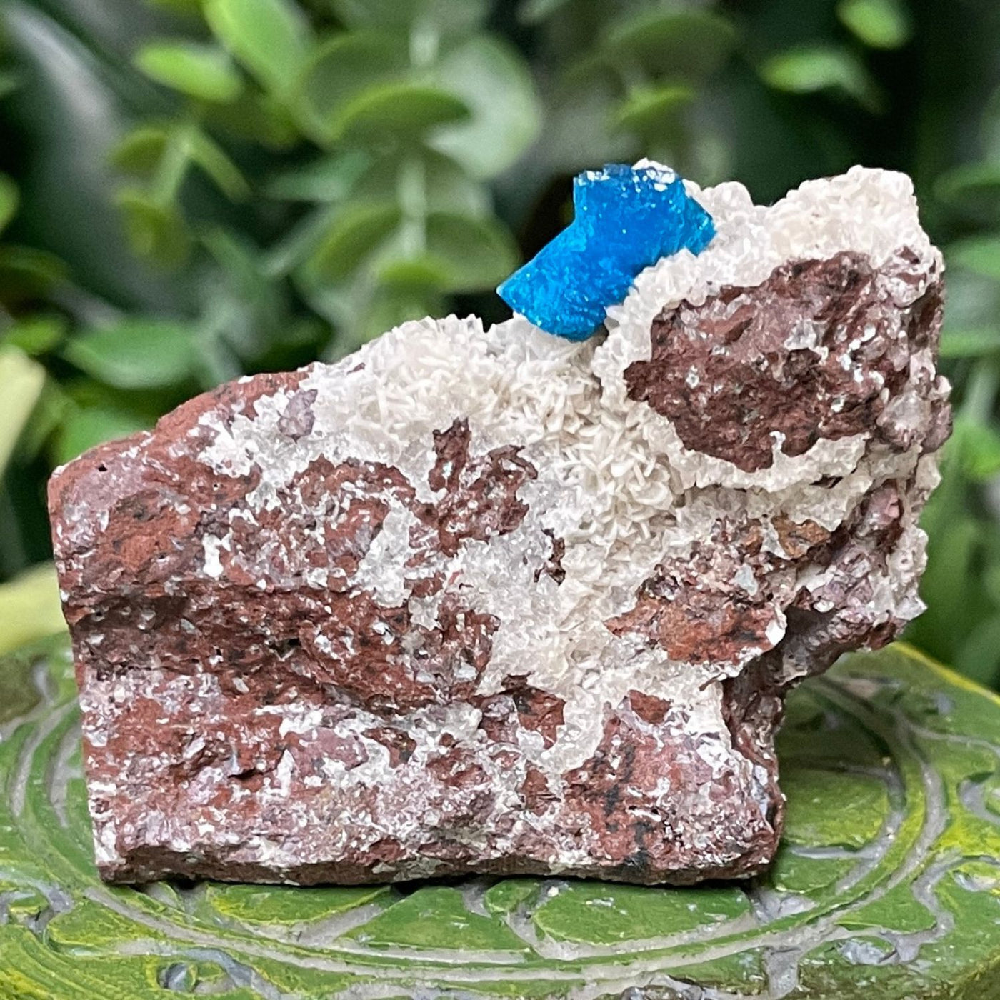 Canvansite - Free Form