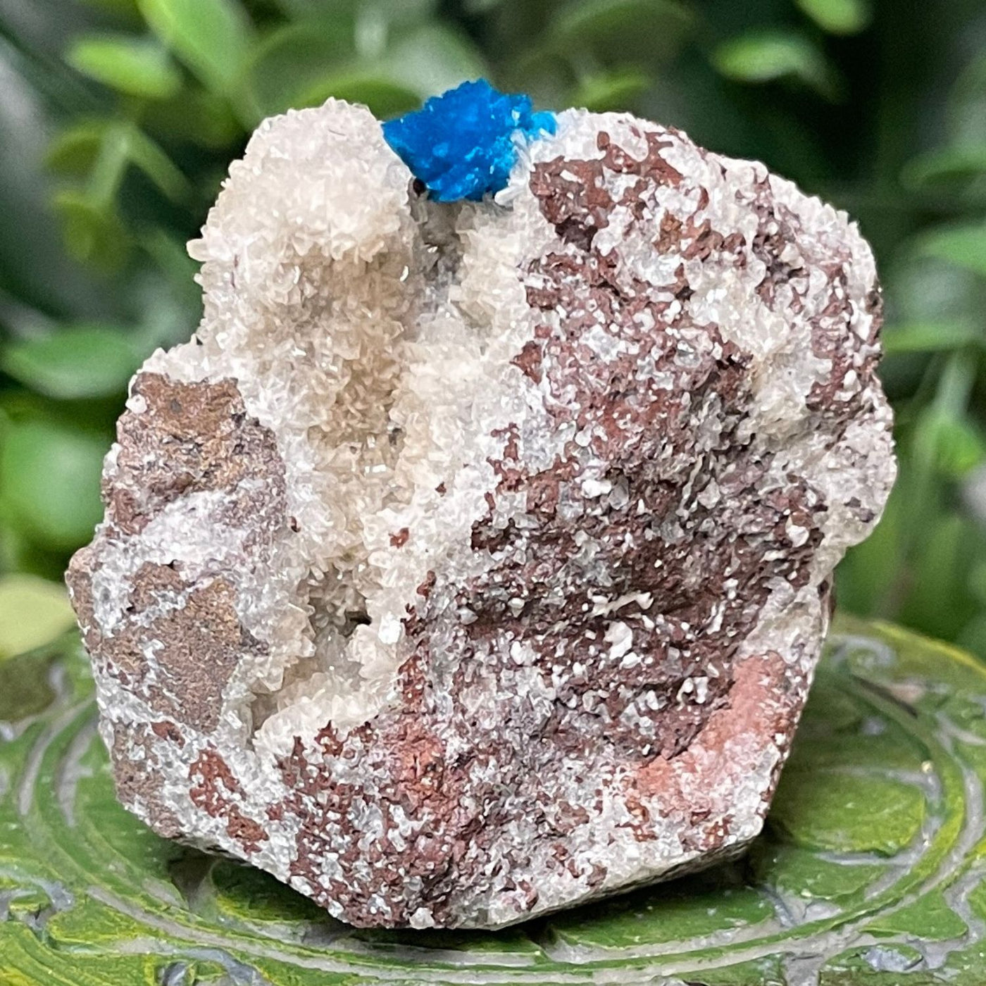 Canvansite - Free Form