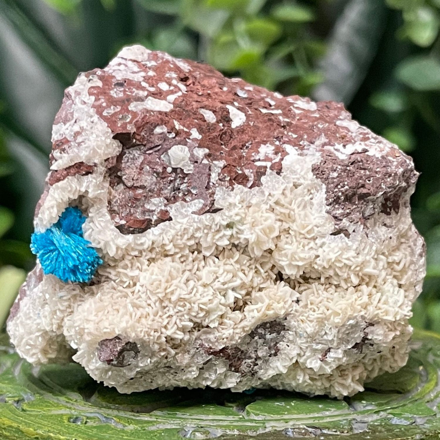 Canvansite - Free Form