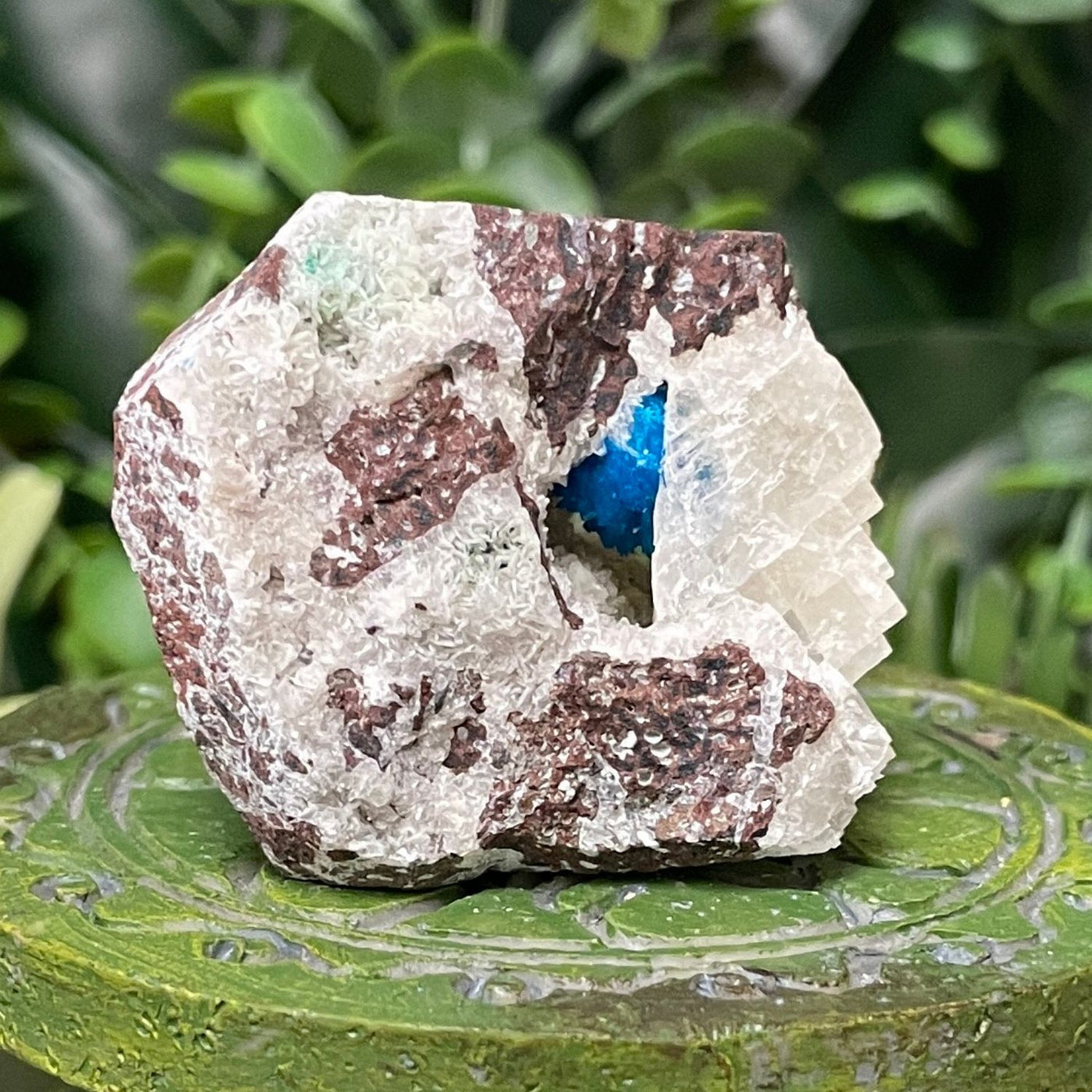 Canvansite - Free Form