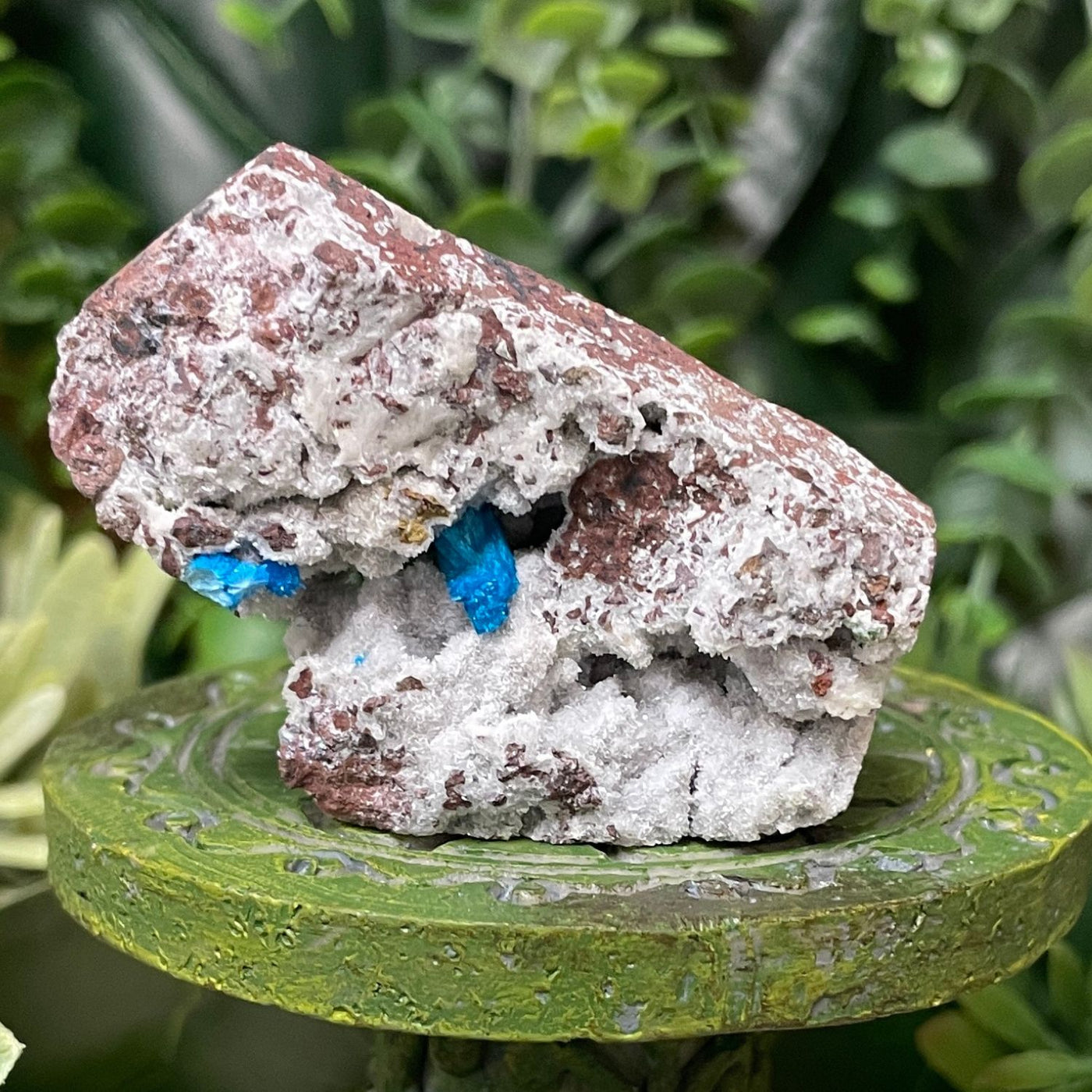 Canvansite - Free Form