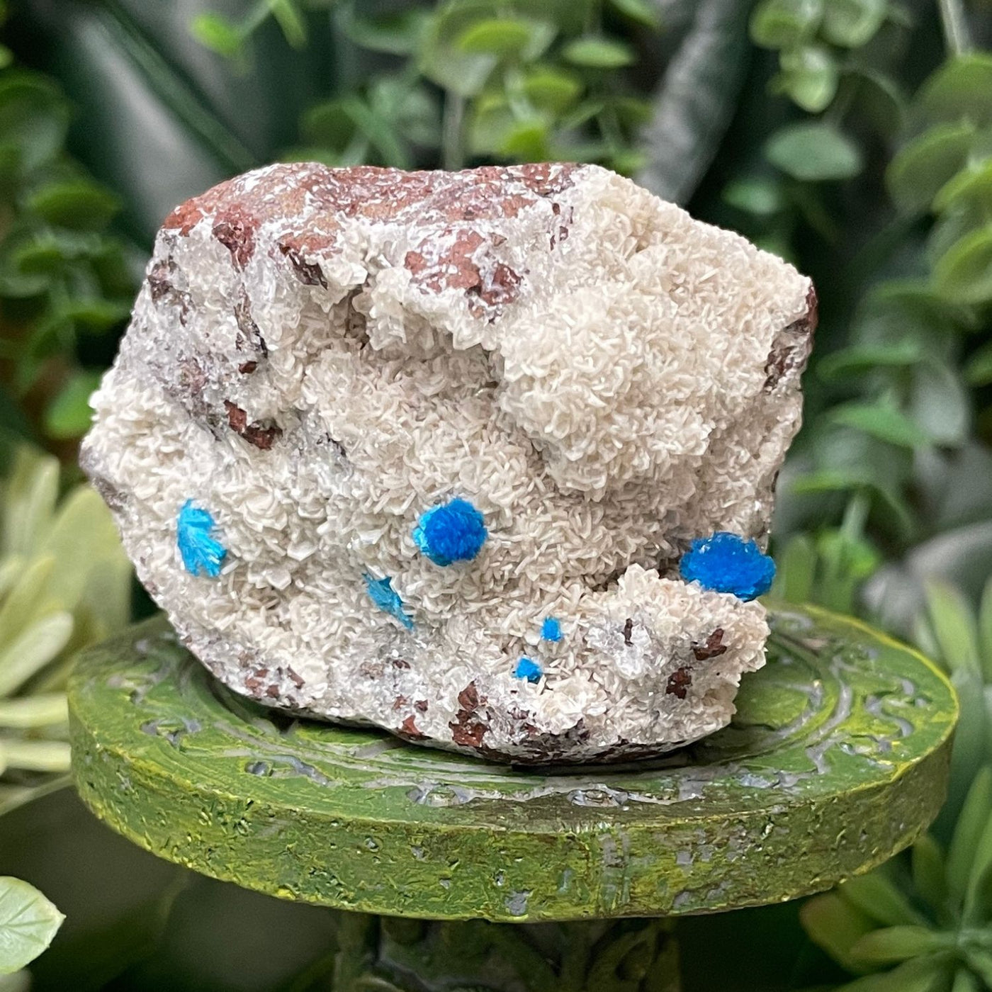 Canvansite - Free Form