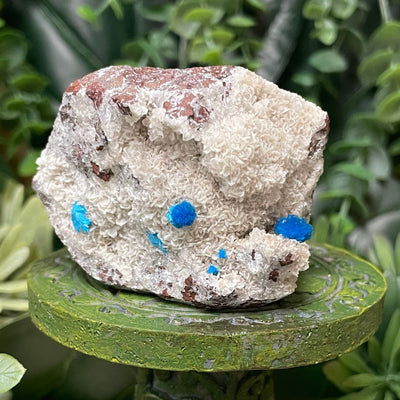 Canvansite - Free Form