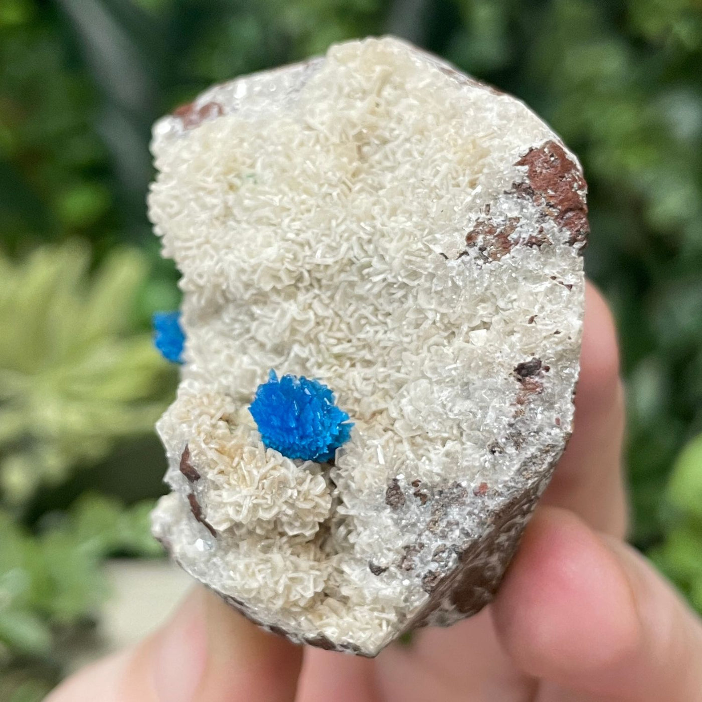 Canvansite - Free Form