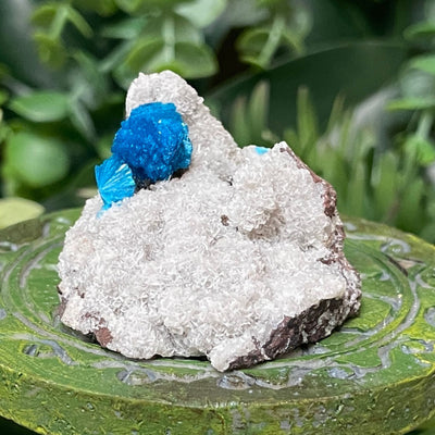 Canvansite - Free Form