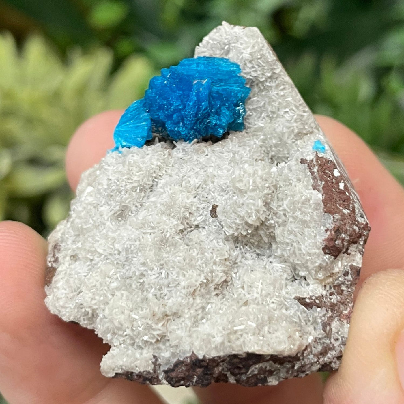 Canvansite - Free Form