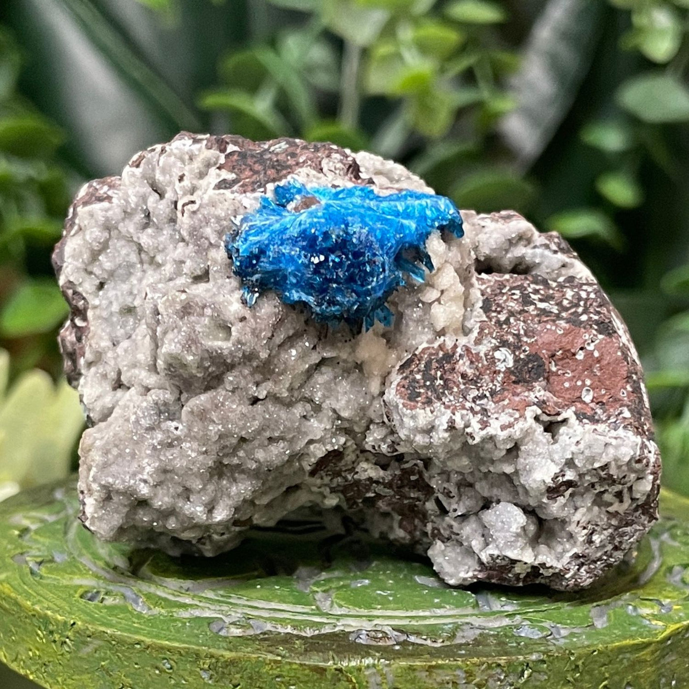 Canvansite - Free Form