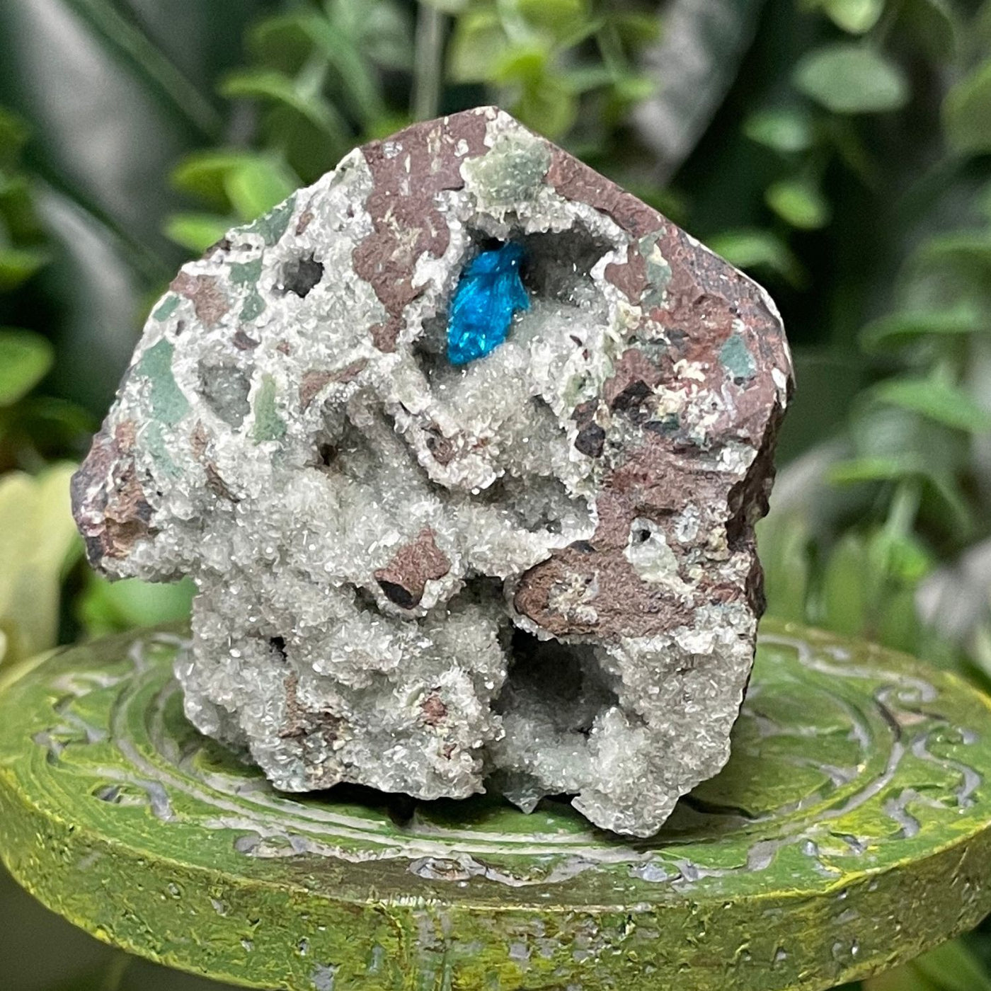 Canvansite - Free Form