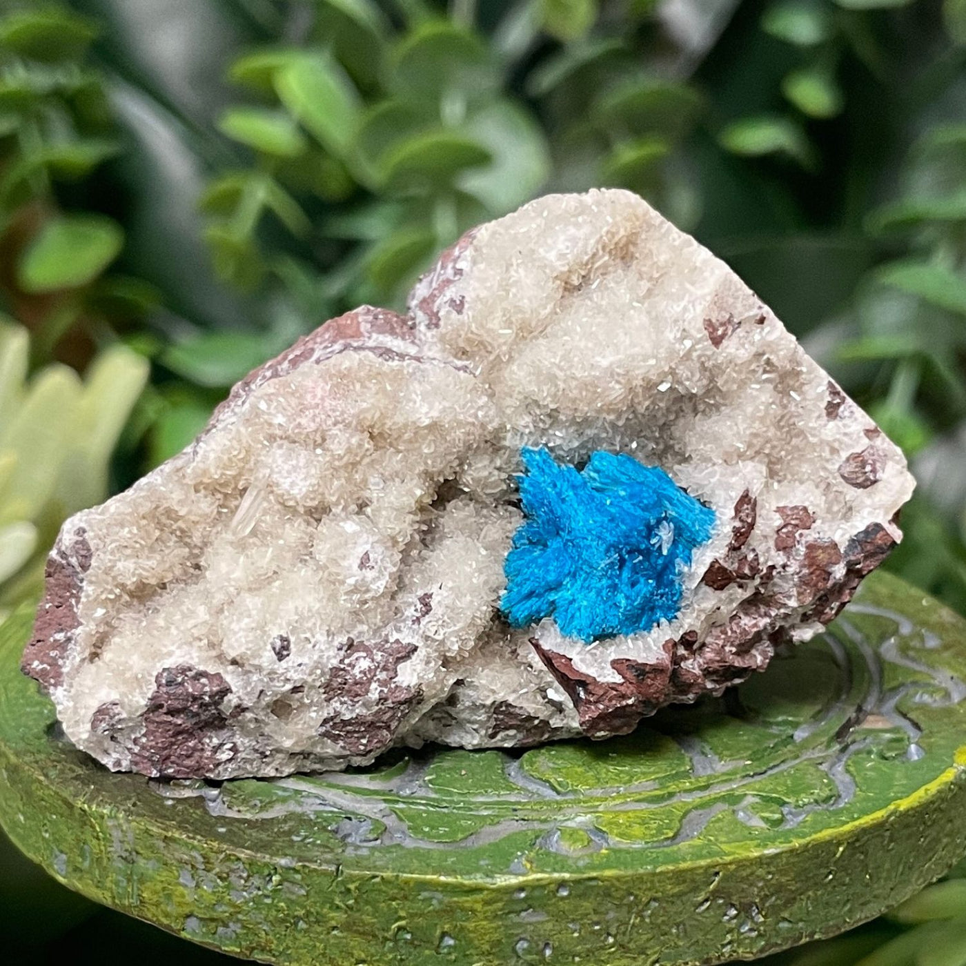 Canvansite - Free Form