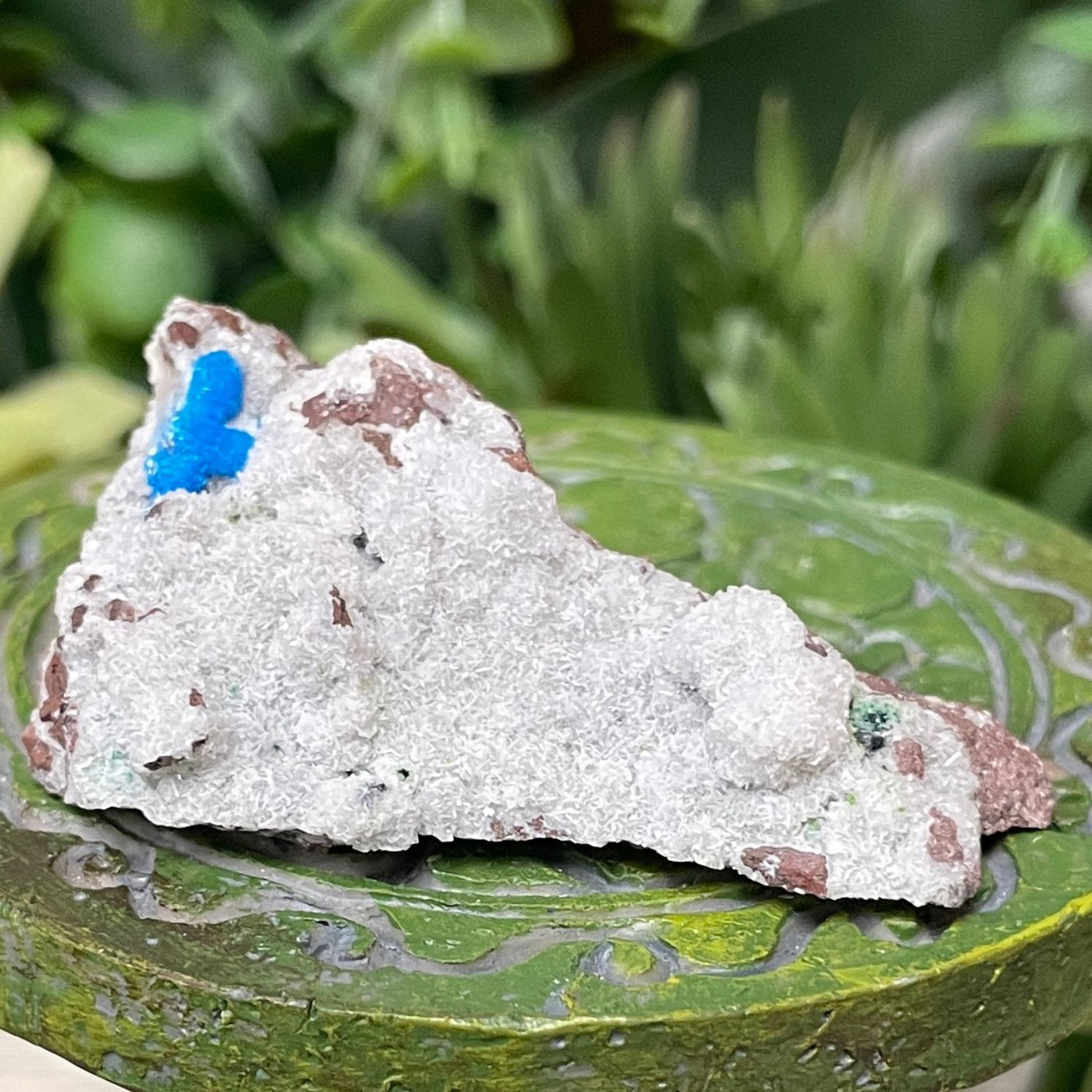 Canvansite - Free Form