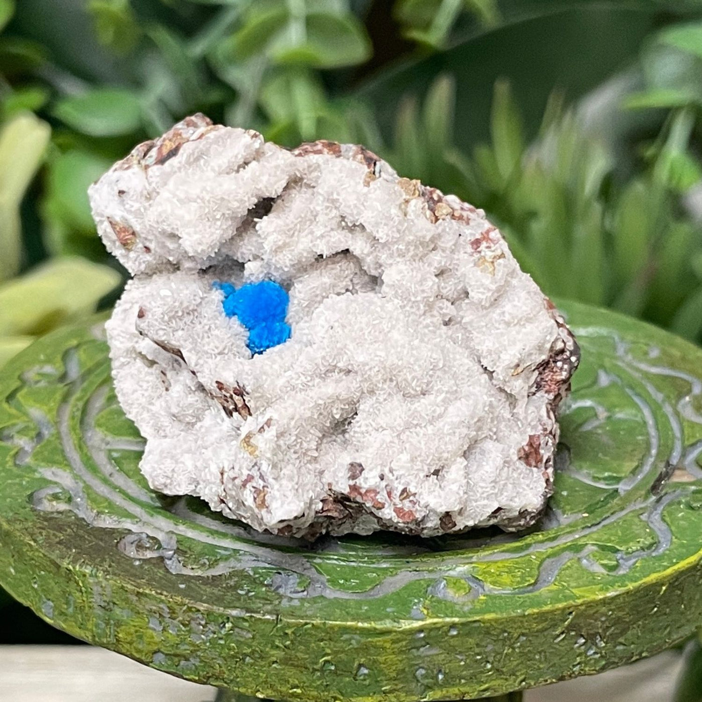 Canvansite - Free Form