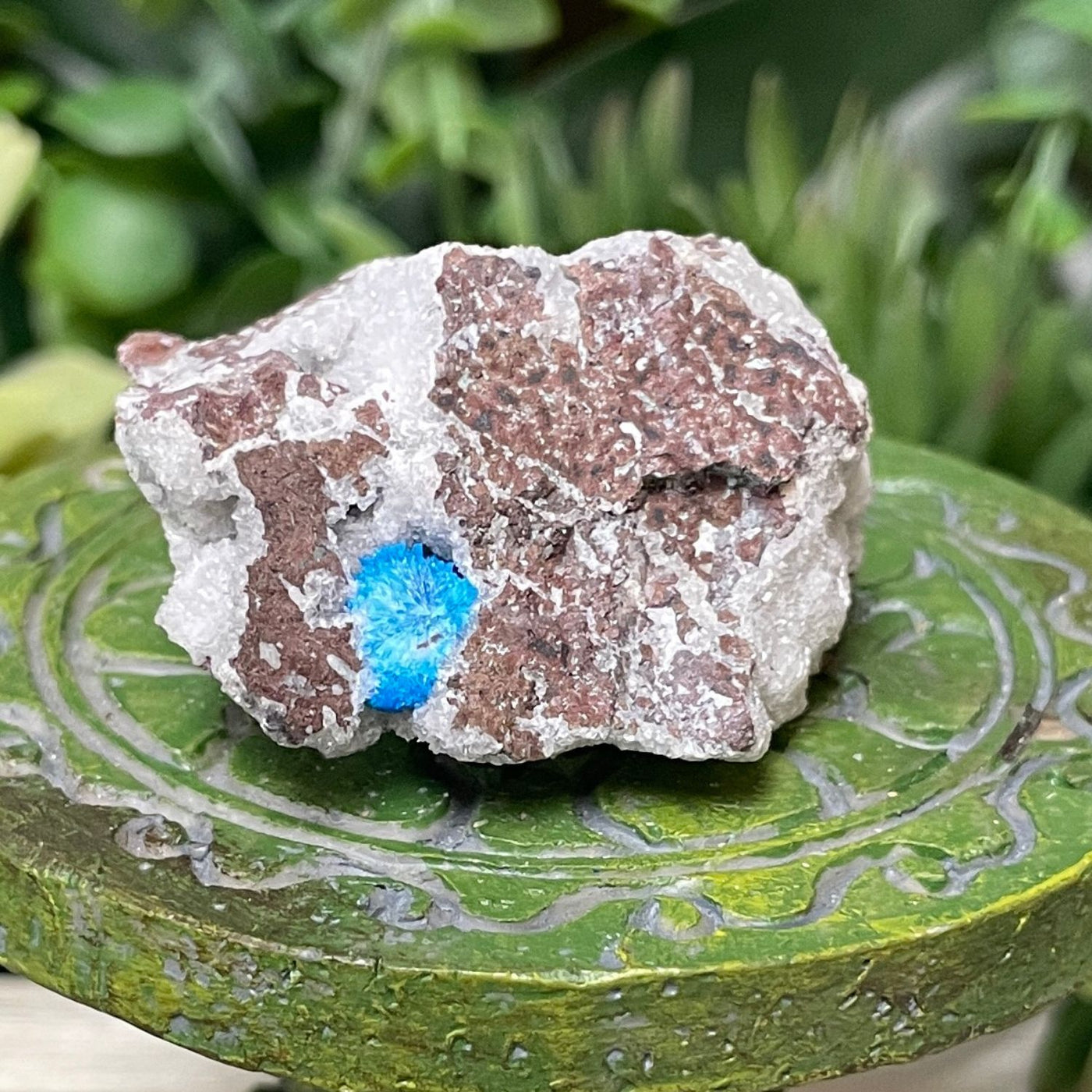 Canvansite - Free Form