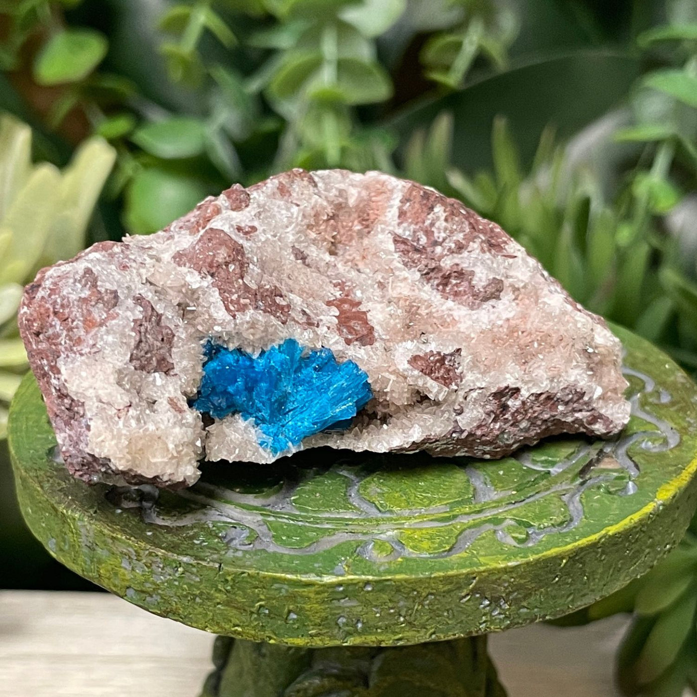 Canvansite - Free Form