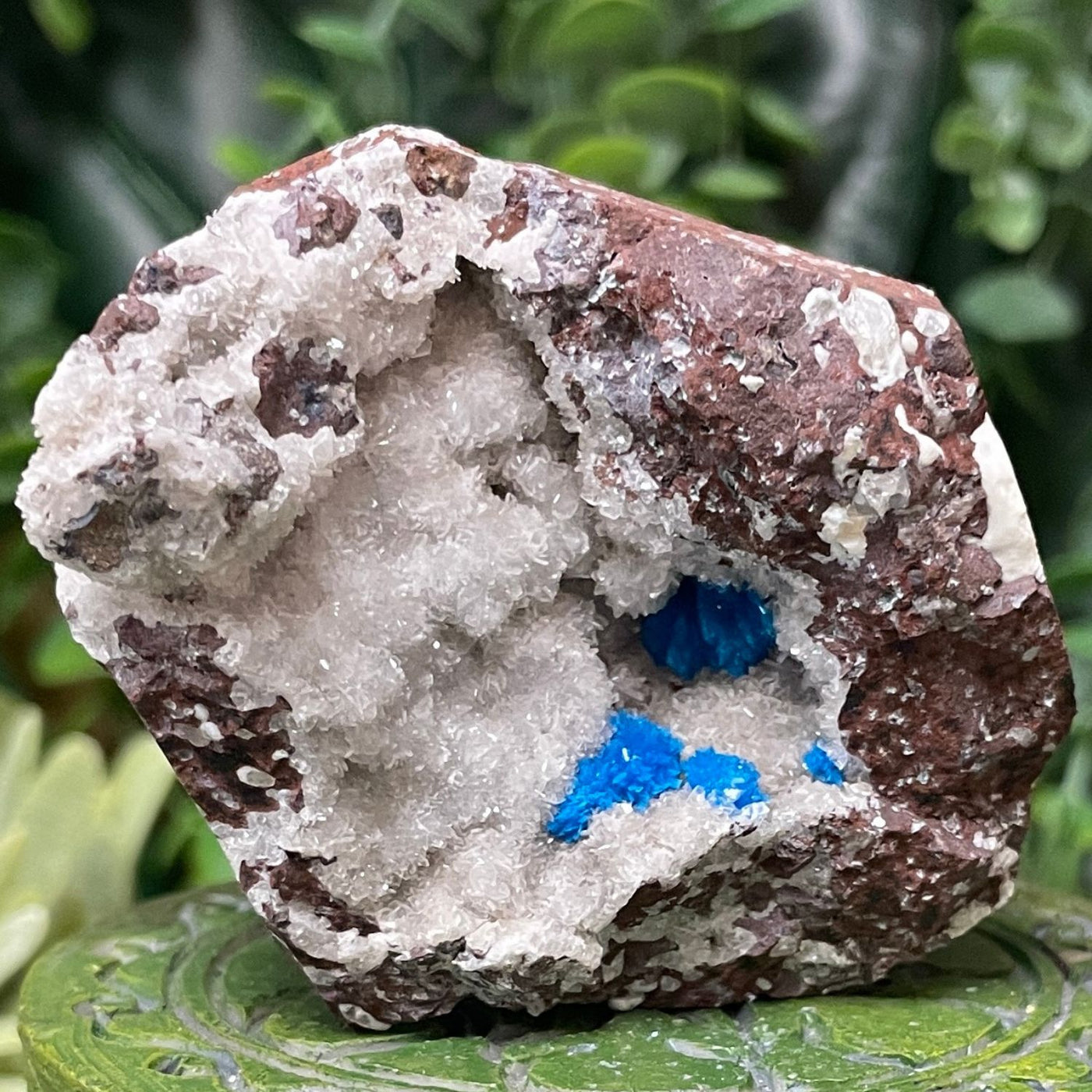 Canvansite - Free Form