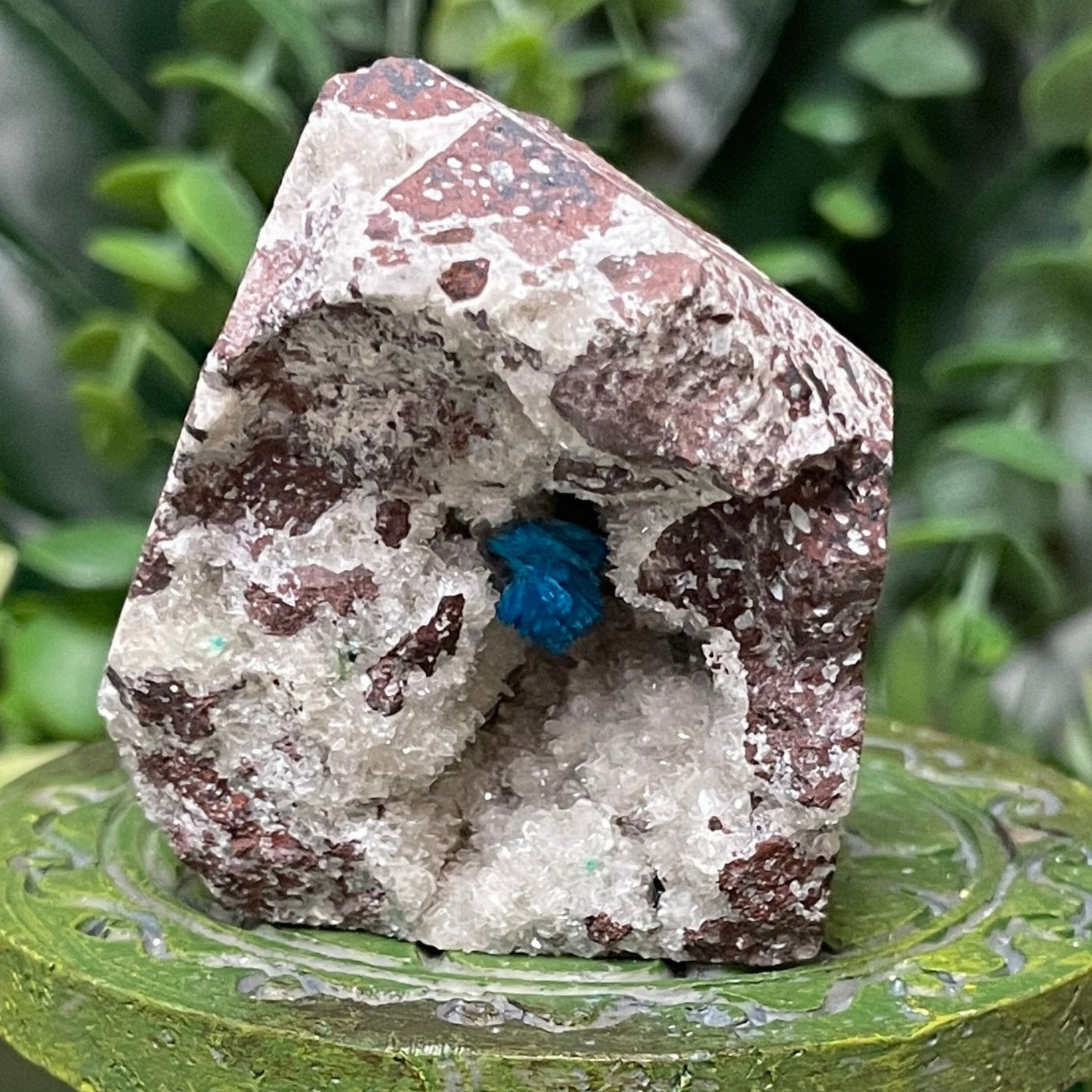 Canvansite - Free Form