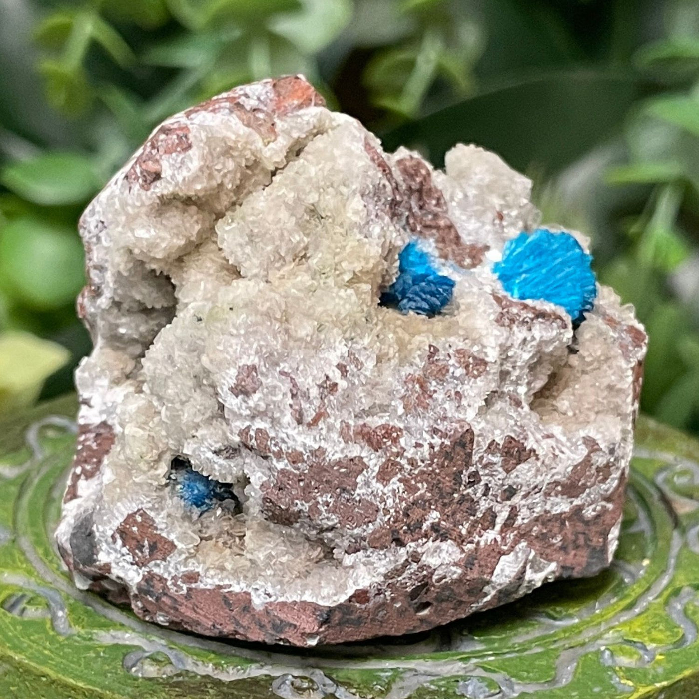 Canvansite - Free Form