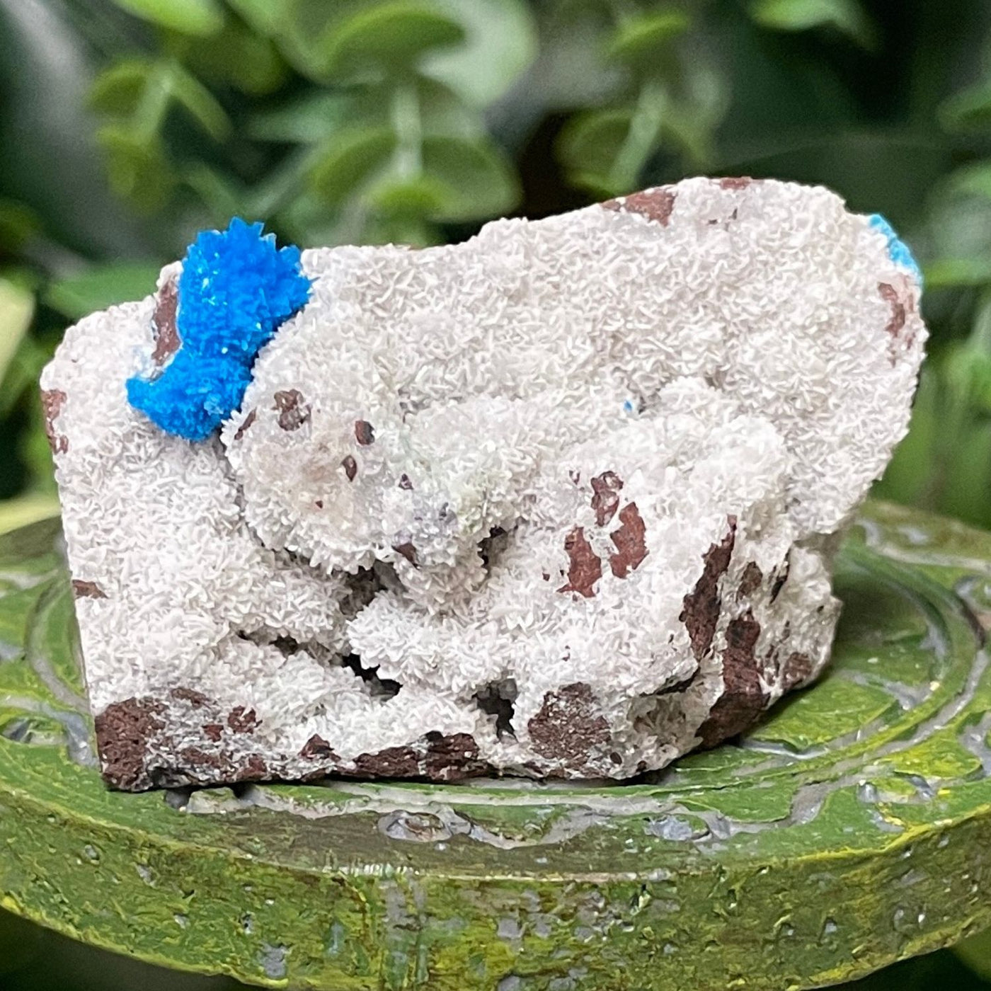 Canvansite - Free Form