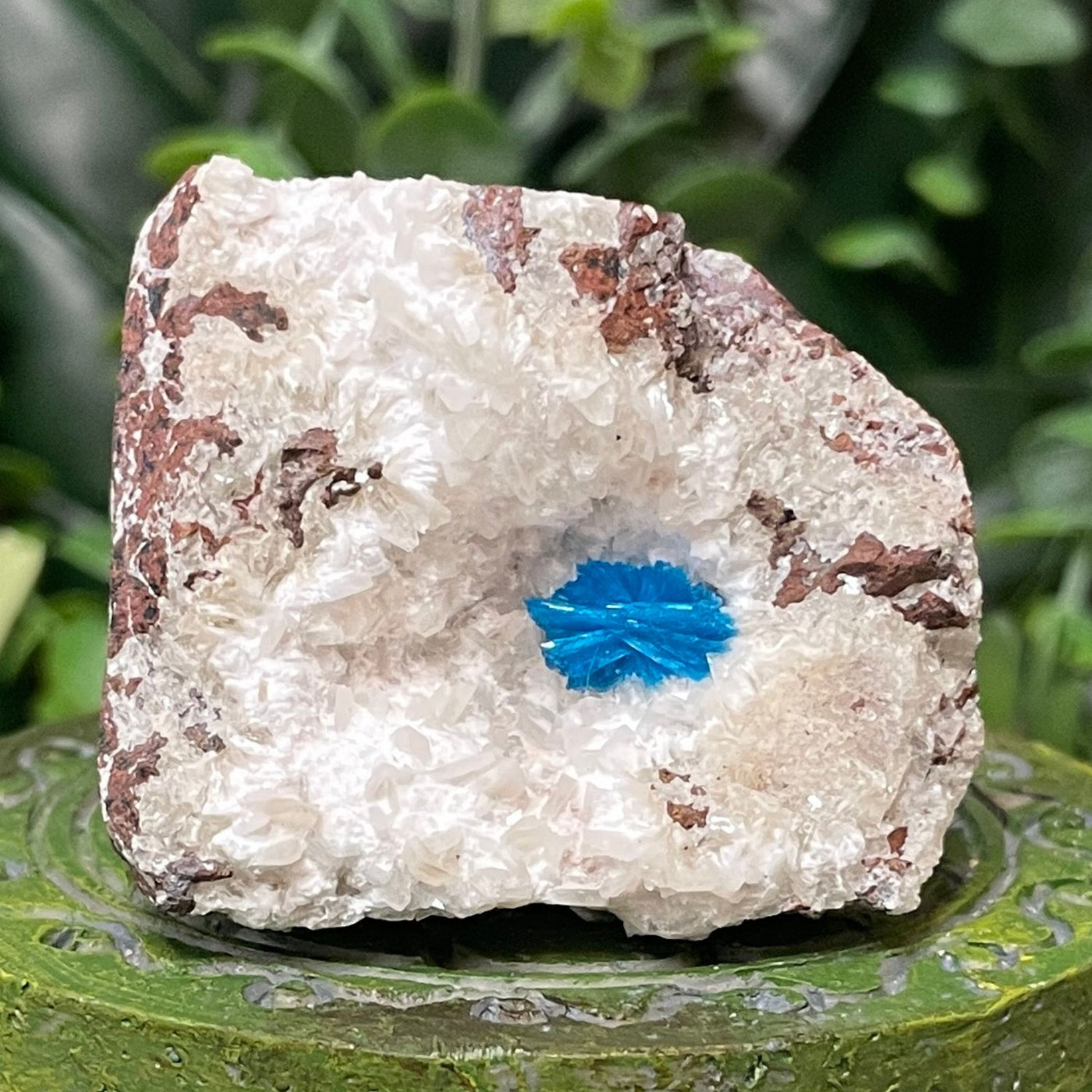 Canvansite - Free Form