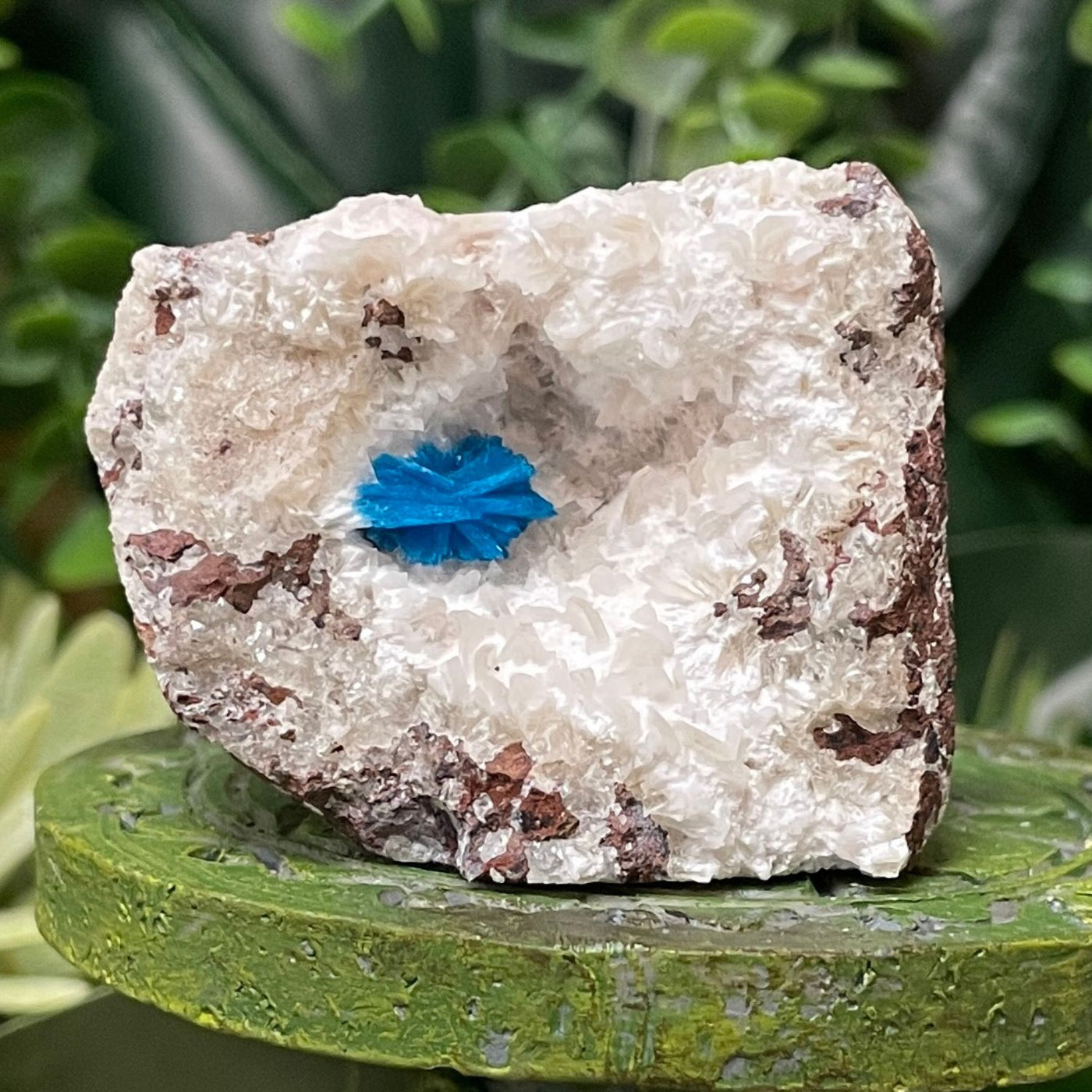 Canvansite - Free Form