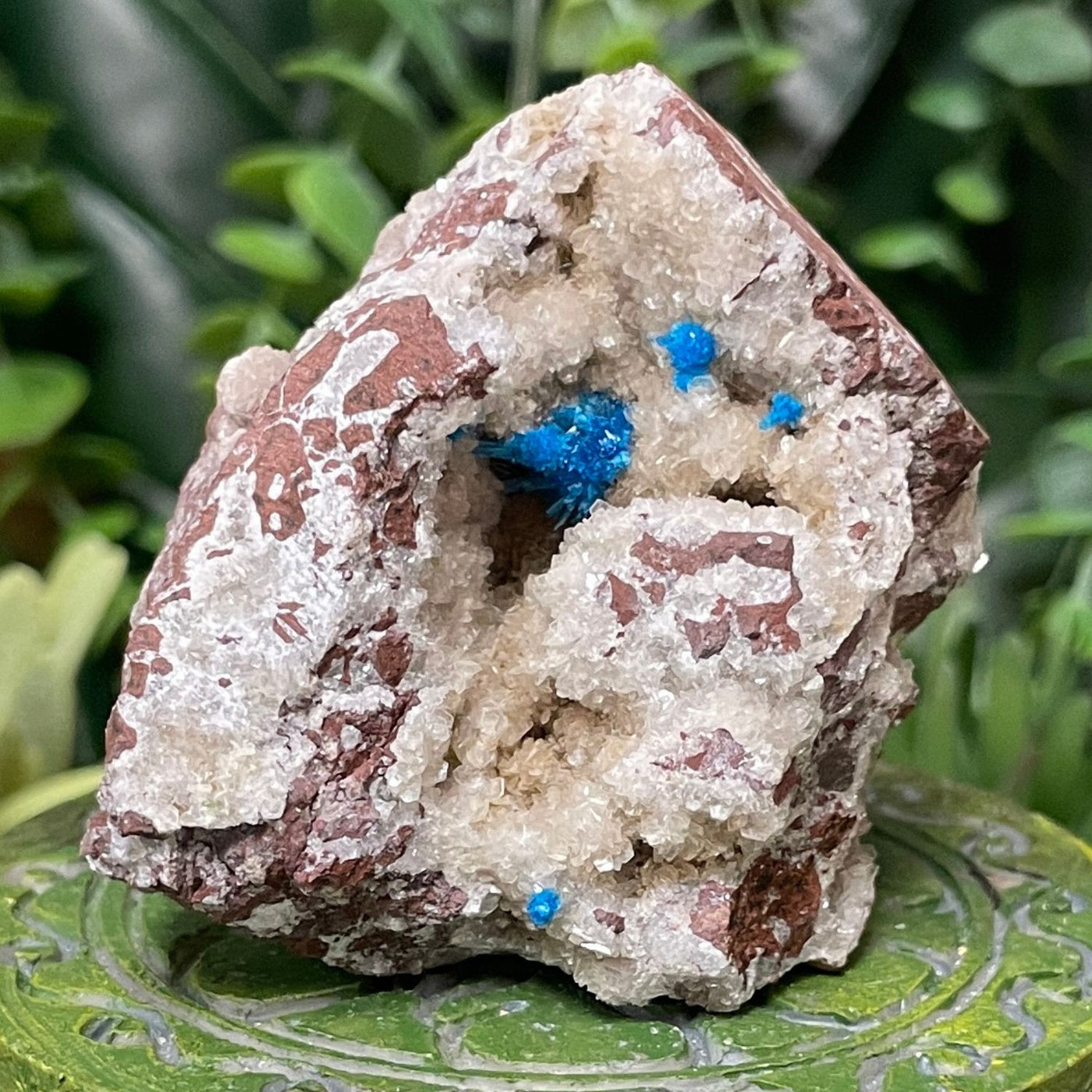 Canvansite - Free Form