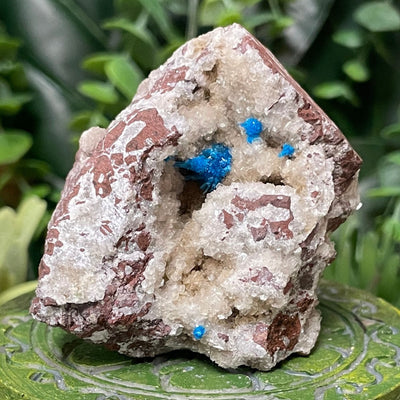 Canvansite - Free Form