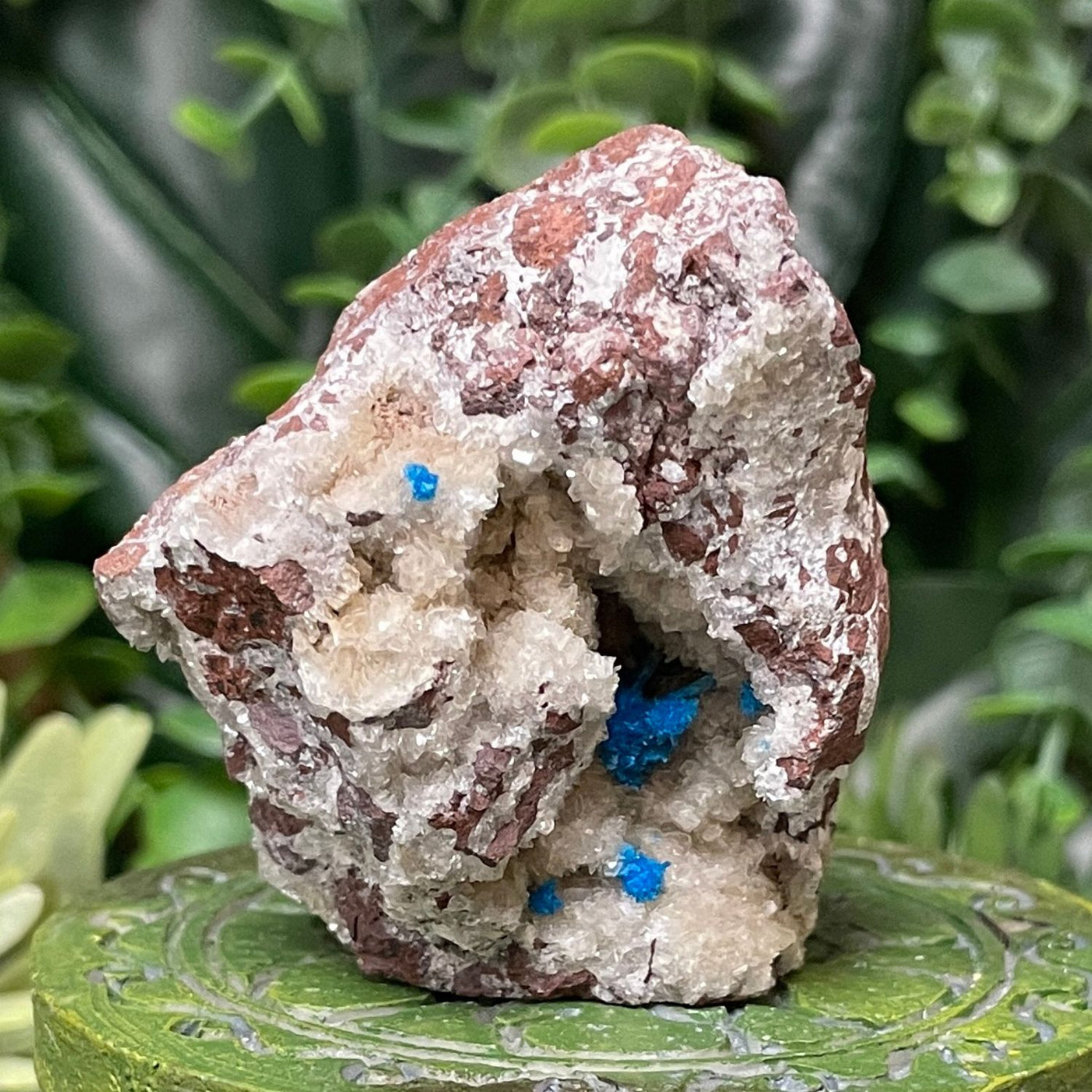 Canvansite - Free Form