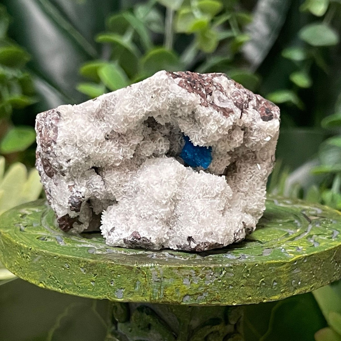 Canvansite - Free Form