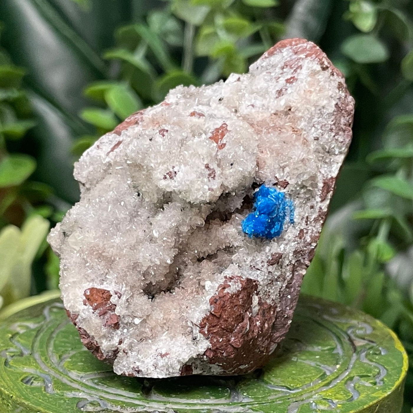 Canvansite - Free Form