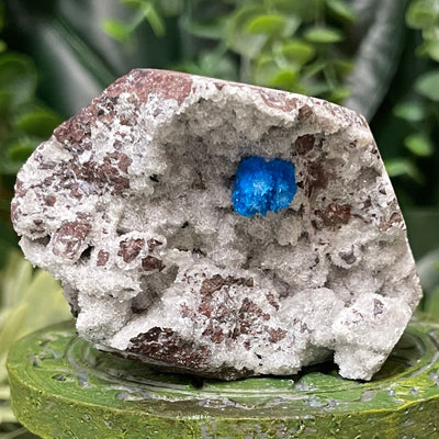 Canvansite - Free Form