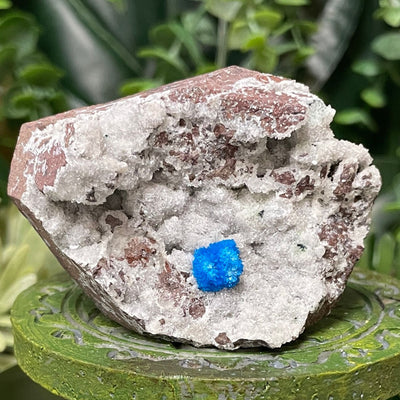 Canvansite - Free Form