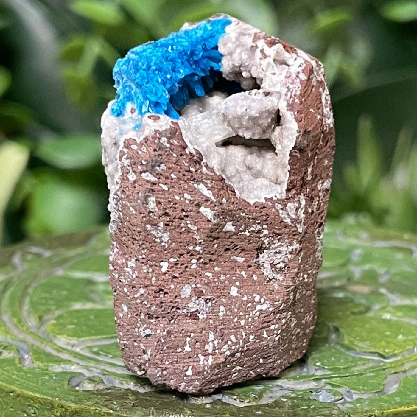 Canvansite - Free Form