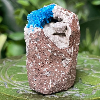 Canvansite - Free Form