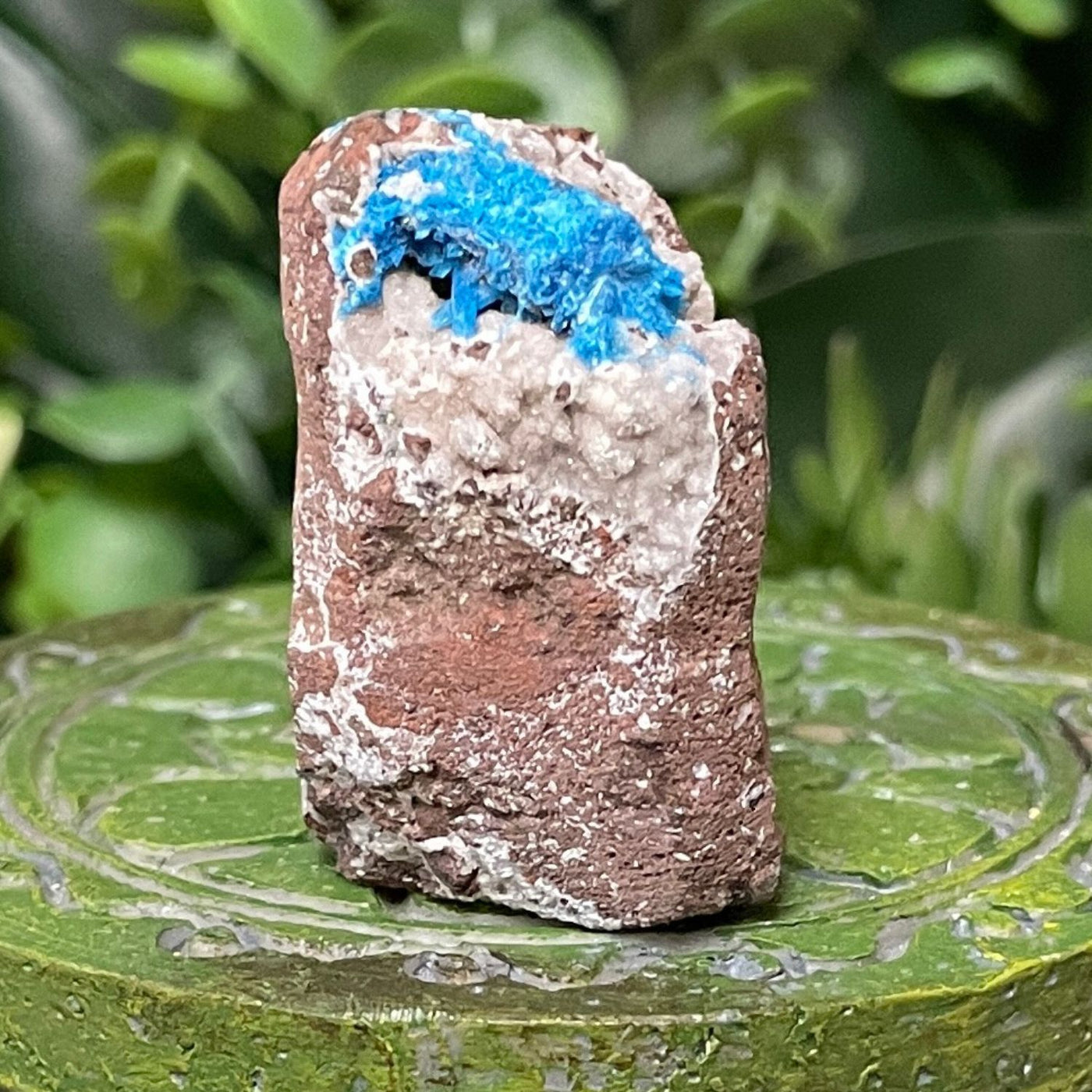 Canvansite - Free Form