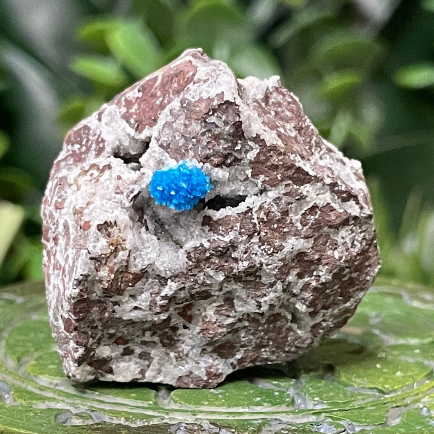 Canvansite - Free Form