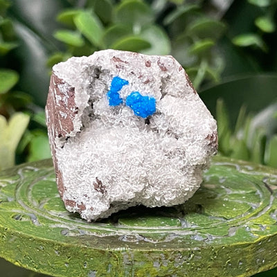 Canvansite - Free Form