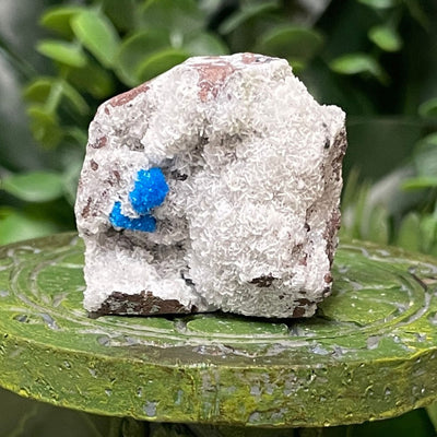 Canvansite - Free Form