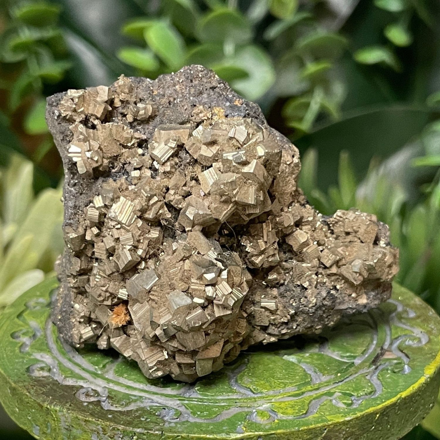 Pyrite - Free Form