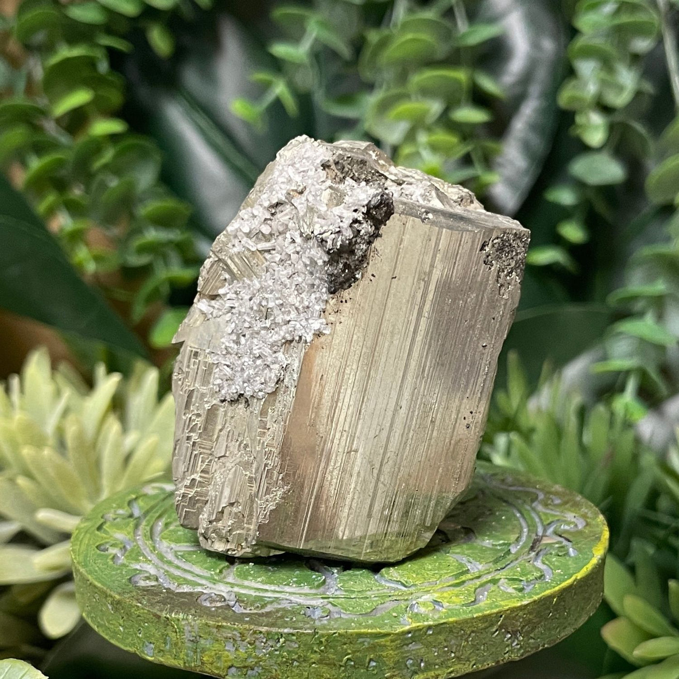Pyrite - Free Form