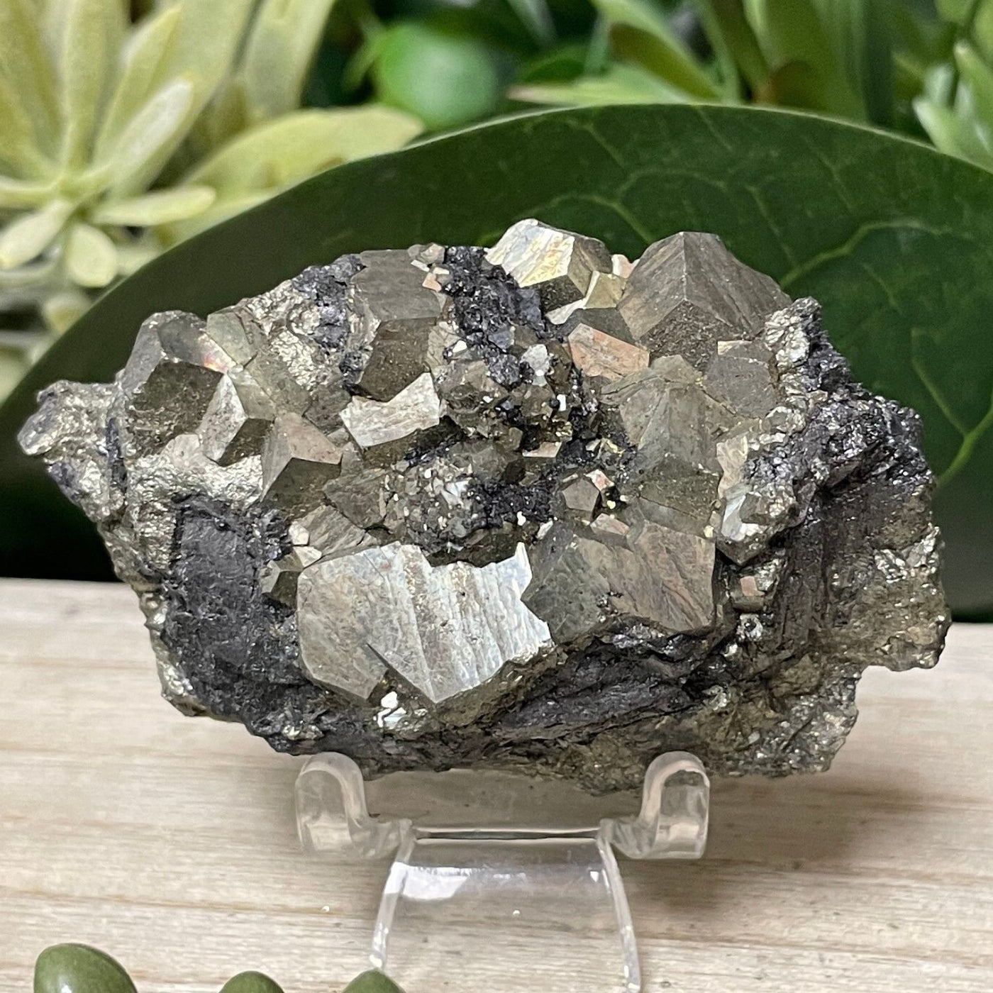 Pyrite - Free Form