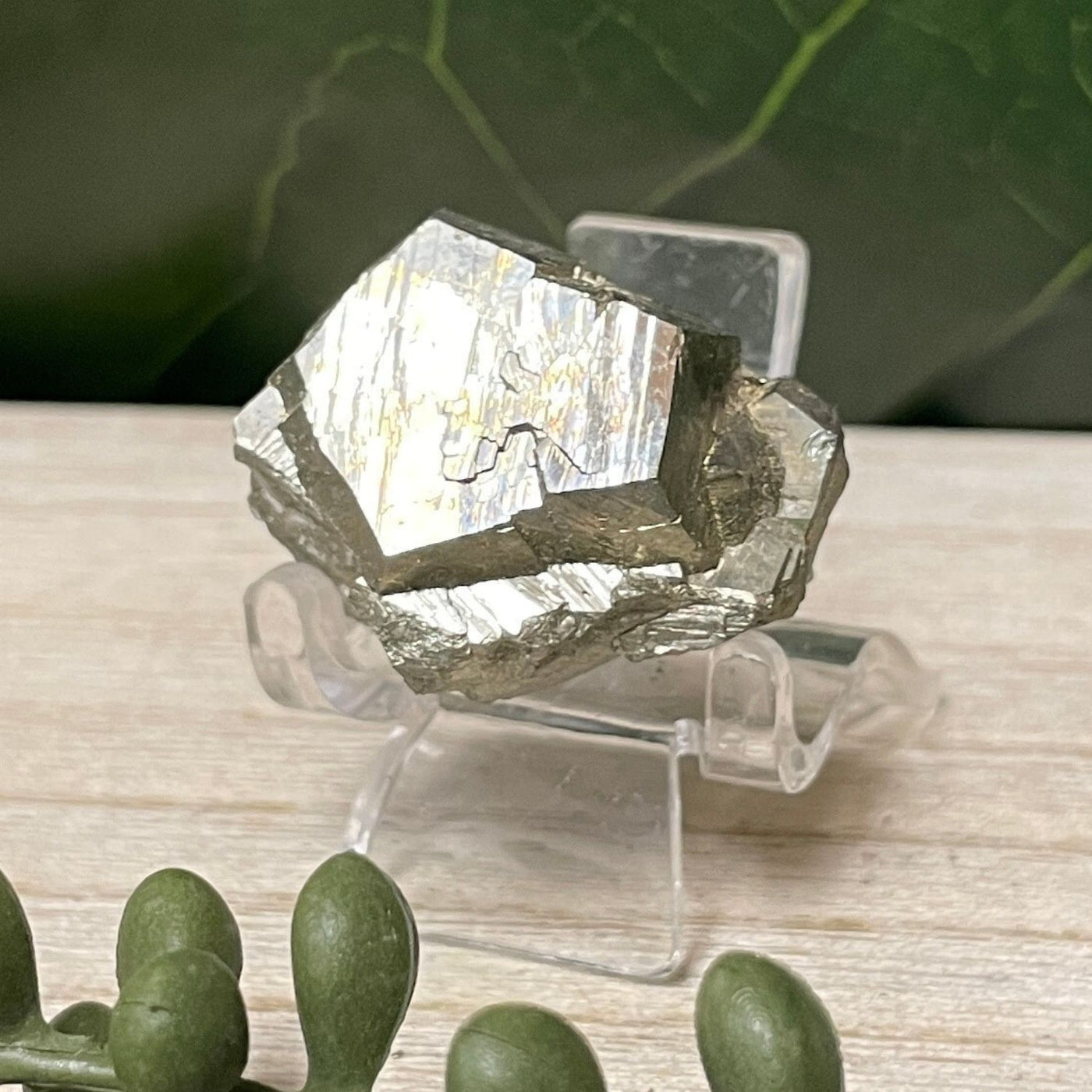 Pyrite - Free Form