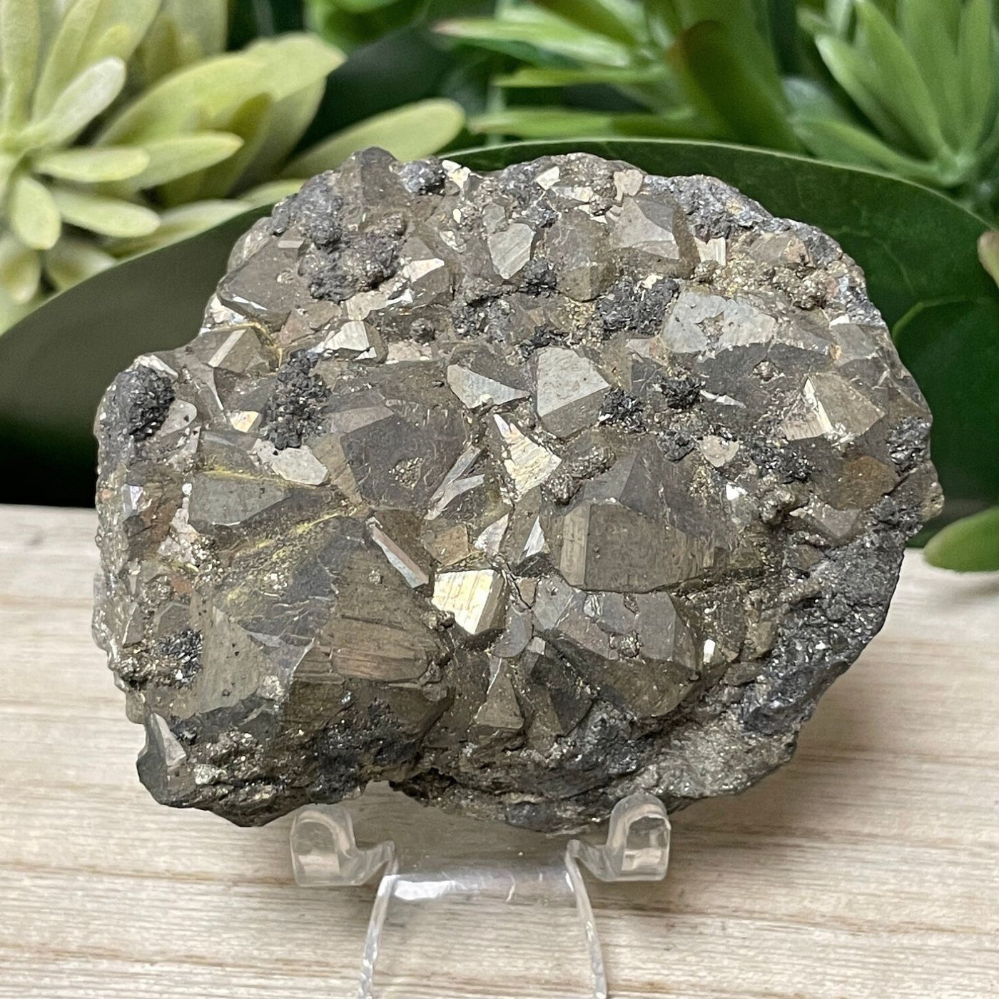 Pyrite - Free Form