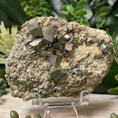 Pyrite - Free Form
