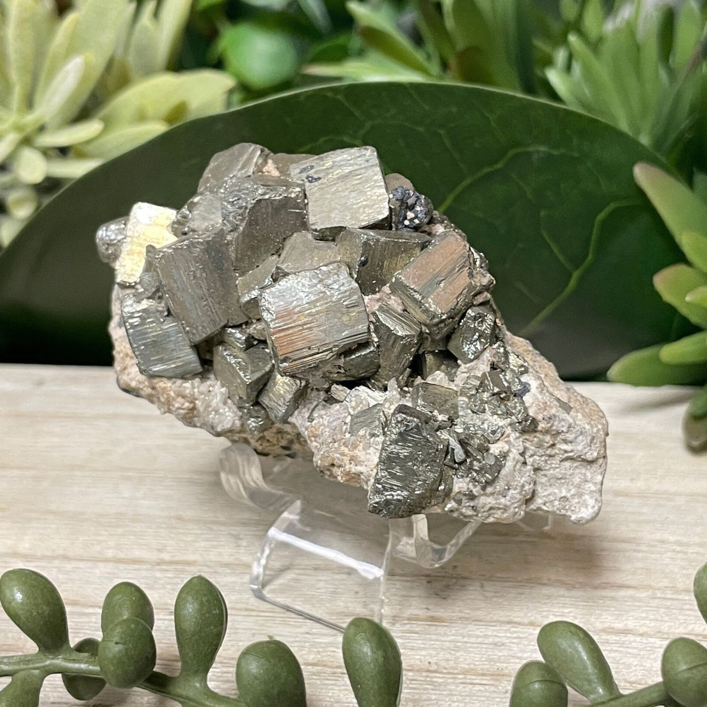 Pyrite - Free Form