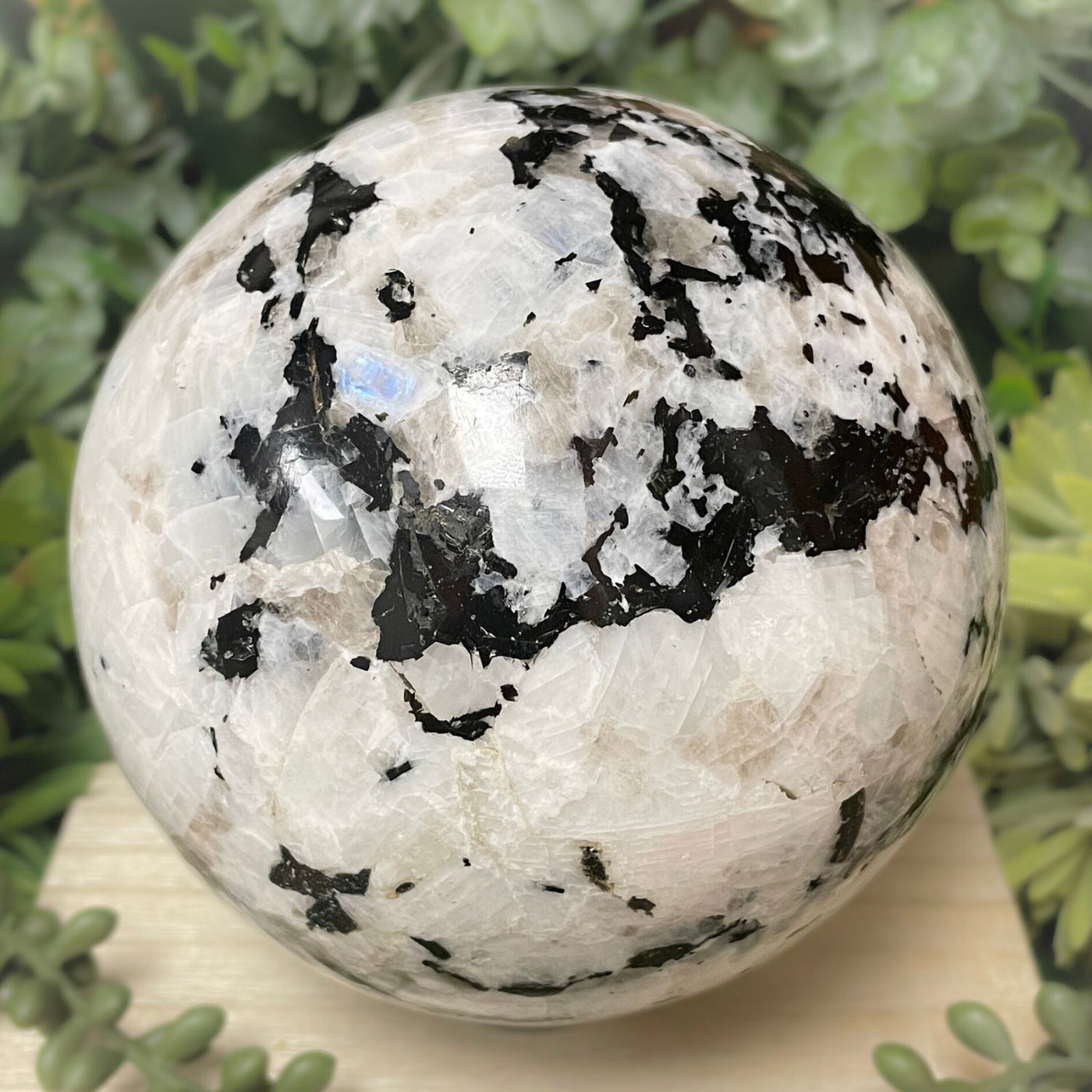 Rainbow Moonstone - Sphere