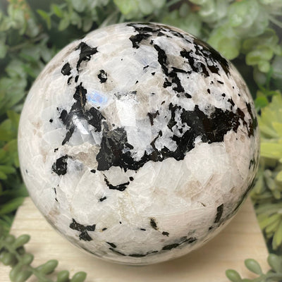 Rainbow Moonstone - Sphere