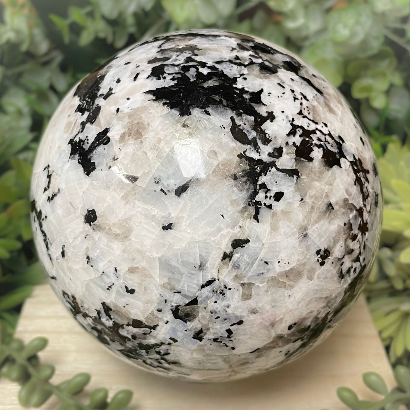 Rainbow Moonstone - Sphere