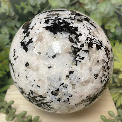 Rainbow Moonstone - Sphere