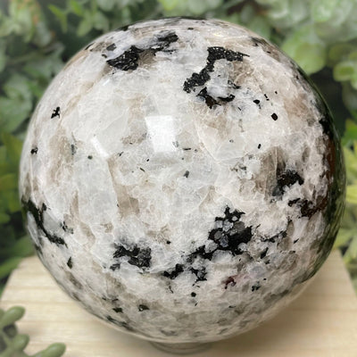 Rainbow Moonstone - Sphere