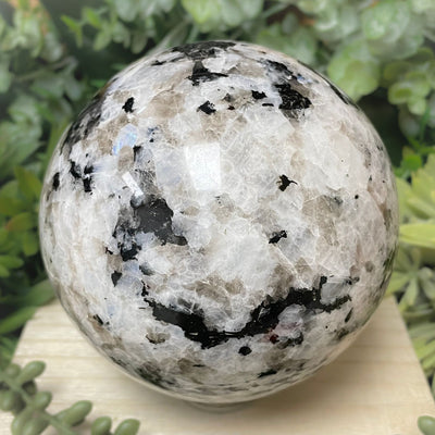 Rainbow Moonstone - Sphere