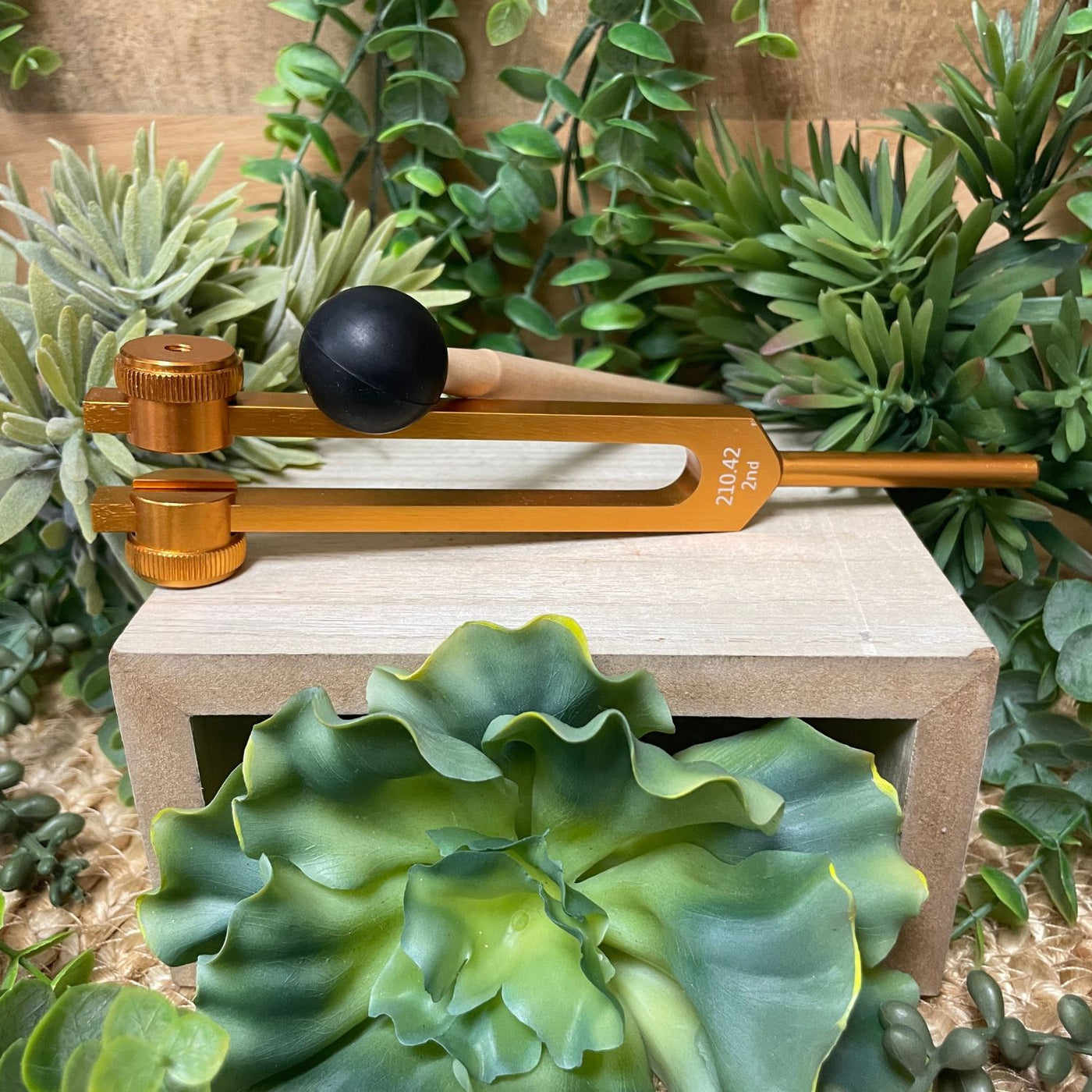 Tuning Fork - Sacral